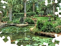 Pond - car, lilies