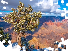 Grand Canyon, Grand Canyon National Park, Grand Canyon, Mountains, State of Arizona, The United States, trees, pine, Rocks