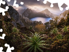 Mountains, Tasmania, Lake Oberon, Southwest National Park, Australia, rocks, Plants