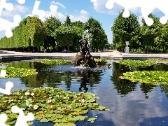 Park, fountain, Nenufary