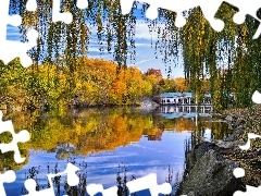 Central Park, New York, trees, viewes, Pond - car