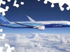 Boeing 787, plane, passenger