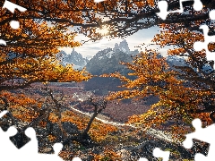 autumn, Argentina, Fitz Roy Mountain, Mountains, trees, rays of the Sun, River Rio de las Vueltas, Los Glaciares National Park, Patagonia, viewes, branch pics