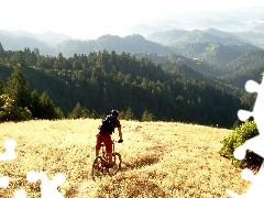 woods, Mountains, car in the meadow, Path, cyclist