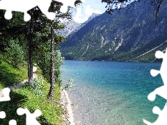 Mountains, forest, Path, River