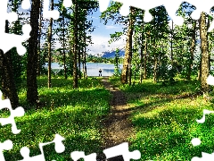 viewes, forest, Human, Path, lake, trees