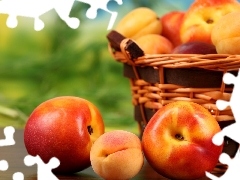 peaches, basket, nectarines