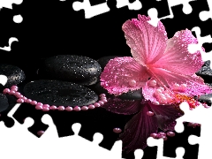 Pearl, Spa, hibiskus, Stones, Pink