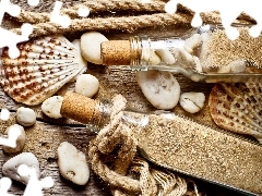 decoration, Shells, Pebble, Bottles