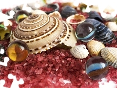 Shells, Red, pebbles, M&Ms balls