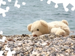 pebbles, water, teddy bear, Plush, White