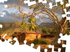 People, Tanzania, village, trees, Mountains