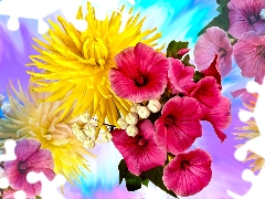 Flowers, chrysanthemum, graphics, petunia