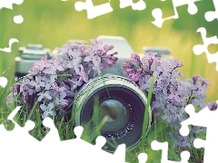 Flowers, Camera, photographic, lilac