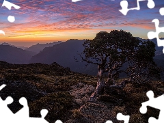 Great Sunsets, clouds, pine, rocks, Mountains