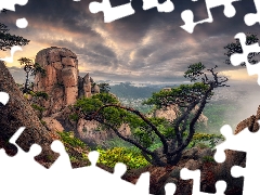 trees, rocks, clouds, pine, viewes, Mountains