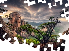 trees, rocks, clouds, pine, viewes, Mountains