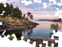 rocks, lake, viewes, pine, trees, scarp