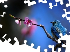 Pink, Flower, Bird, branch, blue