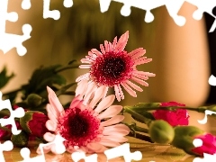 pitcher, bouquet, flowers