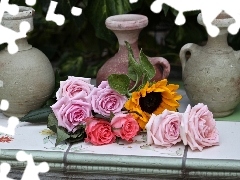 Pitchers, roses, Sunflower