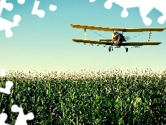 plane, corn, Field