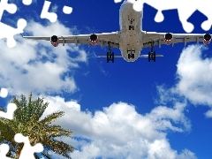 Palm, flying, plane, Sky