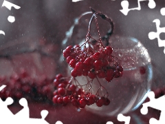 Fruits, glass, vase, Plant