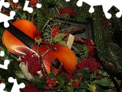 Plant, violin, Tunes