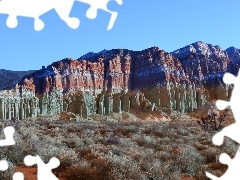 Plants, Red, canyon