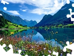plants, Mountains, lake