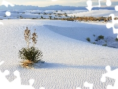 plants, Mountains, landscape, cluster, wild