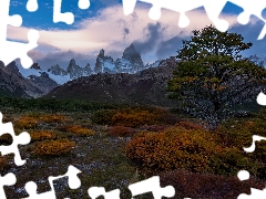 Plants, trees, Patagonia, Yellowed, Mountains, Los Glaciares National Park, Argentina