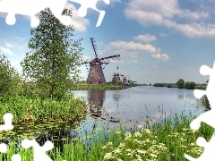 Plants, Windmills, River