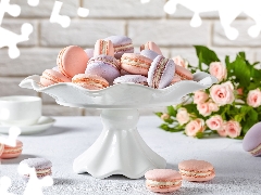 cup, cookies, bouquet, plateau, Macaroons, roses, blur