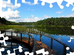 lake, rushes, Platform, summer