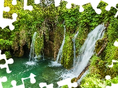 Coartia, waterfall, VEGETATION, Plitvice Lakes National Park