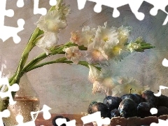 plums, bowl, gladioli