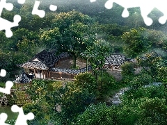 Houses, forest, Pond - car, China