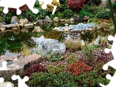 Pond - car, Stones, color, Bush, Garden