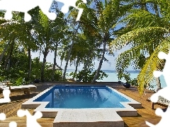 deck chair, holiday, Palms, Pool, Hotel hall