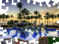 Pool, Palms, dolphins