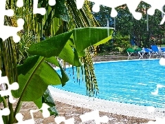 Palms, Hotel hall, Pool