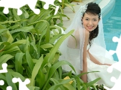 Pool, veil, lady, young, Women