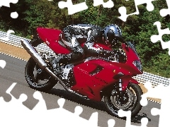 aerodynamic, Triumph Daytona 955i, position