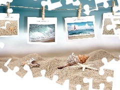 Beaches, Sand, postcards, Shells