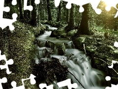 Stones, Przebijające, luminosity, ligh, flash, brook, forest, sun