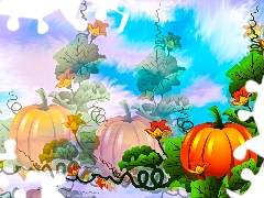 graphics, leaves, Flowers, pumpkin