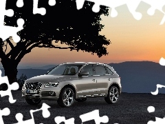 Audi Q5 SUV