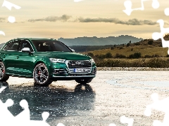 green ones, Audi Q5 TFSI Quattro